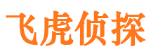 南芬市侦探调查公司